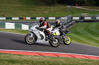 Middle Group White Bikes